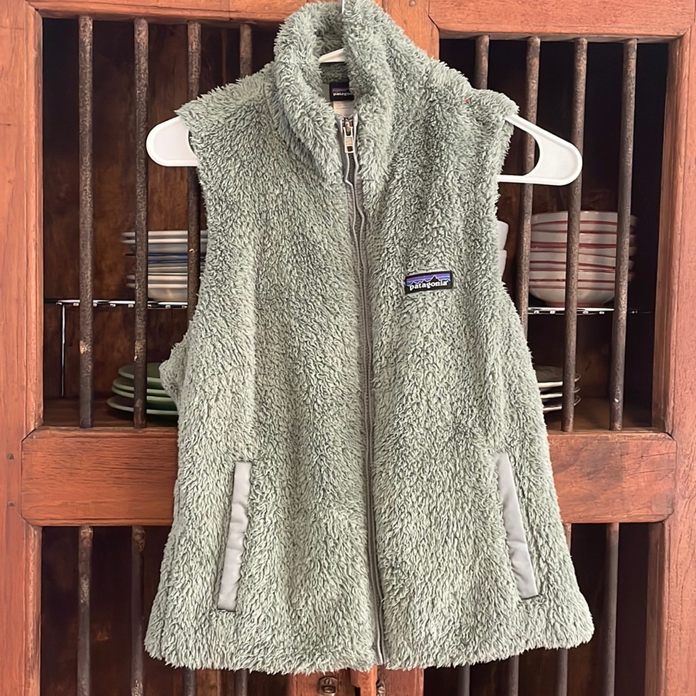 Patagonia vest